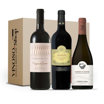 Tasting Box Bolgheri-Valpolicella-Sardinia wines