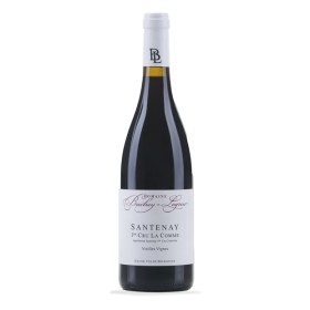 Santenay 1er Cru Aoc Santenay La Comme Vieilles Vignes 2020 Domaine Bachey Legros 0,750 L