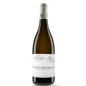 Puligny-Montrachet Aoc Puligny Montrachet 2020 Domaine Bachey Legros 0.750 L