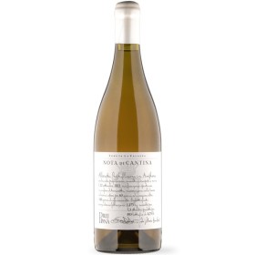 Nota di Cantina Alberata Prepylloxera in Anphora 2022 Drei Donà