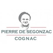 Pierre De Segonzac