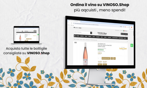 Scopri il Piacere di Acquistare Vino Online su VINOSO.Shop 