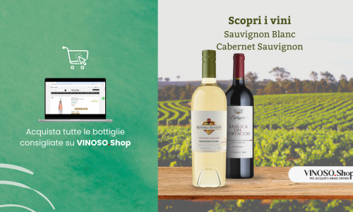 Scopri il Sauvignon: Un Viaggio tra Vigneti, Caratteristiche e Coltivazione 