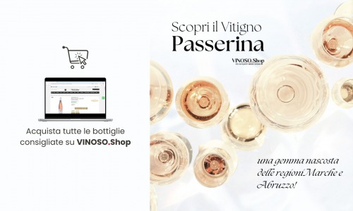Scopri il Vitigno Passerina: Storia, Caratteristiche e Consigli per Acquisto Online