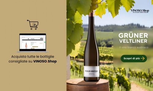 Grüner Veltliner: Guida Completa ai Vini e Abbinamenti