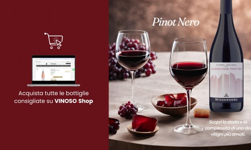 Scopri il Pinot Nero - Vini, Abbinamenti e Prezzi