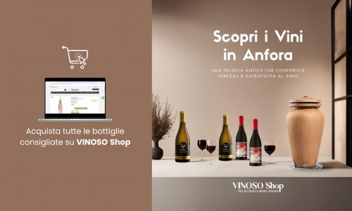 Introduzione ai Vini in Anfora 