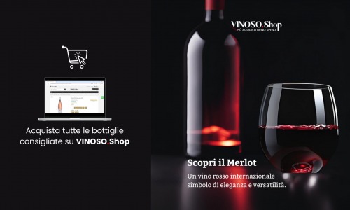 Scopri il Merlot: Il Re dei Vini Rossi Internazionali