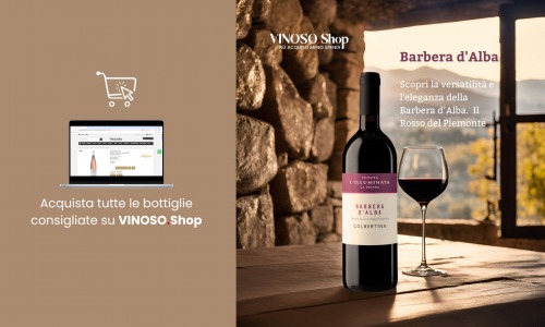 Barbera d'Alba: L'Essenza del Vino Rosso Piemontese 