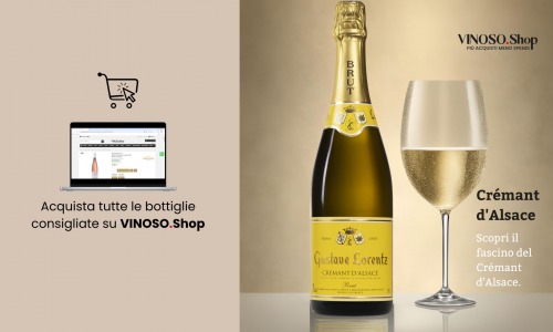 Crémant d'Alsace - Il Vino Spumante Francese che Incanta 