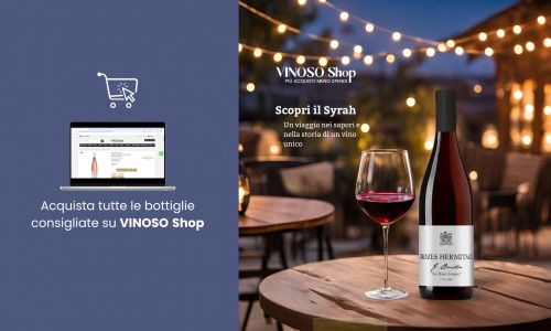 Syrah: Un Viaggio nel Mondo del Vino