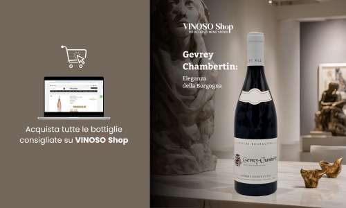 Gevrey Chambertin: Il Cuore della Borgogna Vinicola 