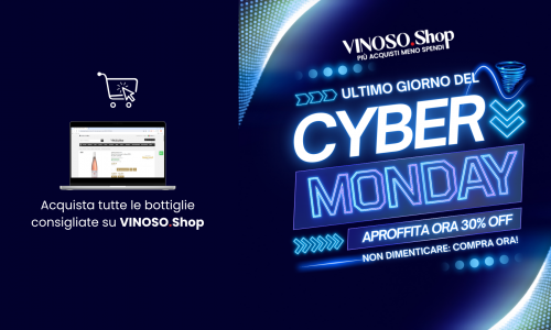 Promozione Cyber Monday VINOSO 2024: Sconti fino al 30% sui Migliori Vini