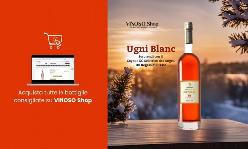 Ugni Blanc – Il Vitigno Versatile e il Re del Cognac 