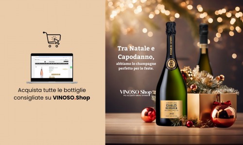 Champagne per le feste: la guida definitiva per celebrare con stile 