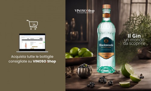 Scopri le bottiglie di Gin del nostro catalogo 