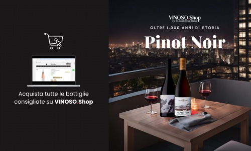 Pinot Noir Francesi: Essenziali per Intenditori 