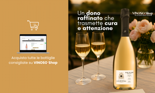 Idee regali per la festa della mamma: le migliori proposte da Vinoso.Shop