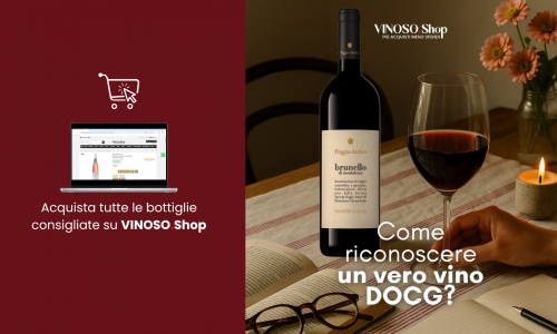 Differenza DOC e DOCG: guida completa alle denominazioni del vino 