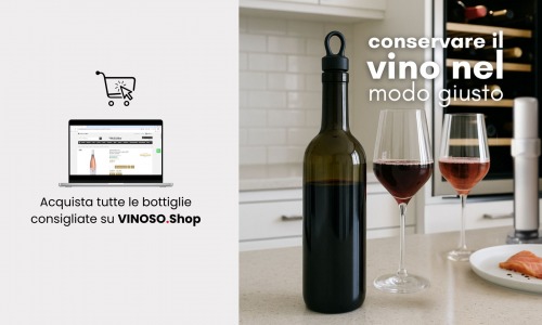 Come conservare il vino: guida pratica per non commettere errori 