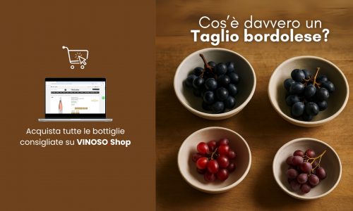 Taglio bordolese: storia, caratteristiche e grandi vini da provare 