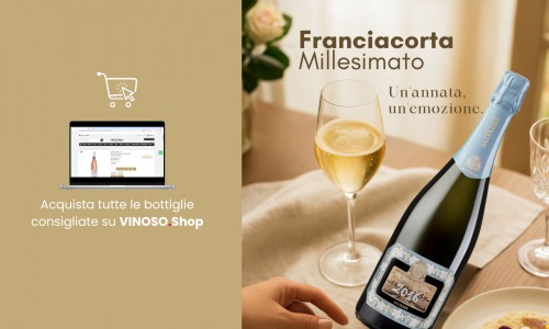 Franciacorta Millesimato: eleganza e carattere da una sola annata 