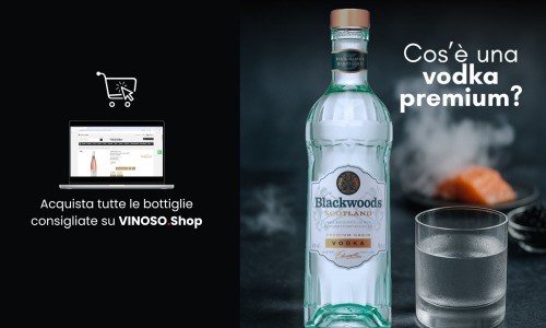 Vodka premium: scopri come scegliere, gustare e acquistare online la qualità autentica