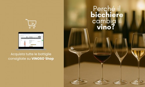 Tipo di bicchiere: la guida completa per esaltare ogni vino 