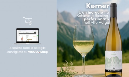 Vino bianco Kerner: guida completa al vitigno aromatico dell’Alto Adige 