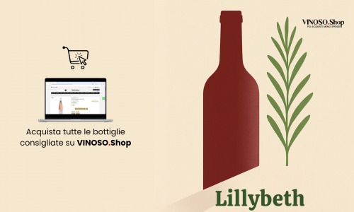 Vino Emilia Romagna: scopri Lillybeth Drei Donà, un rosso elegante e moderno dalla Romagna