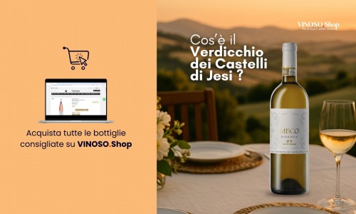 Verdicchio dei Castelli di Jesi: il bianco marchigiano che conquista ogni tavola 