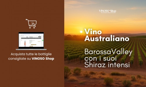 Vino australiano online: scopri i migliori vini dell’Australia