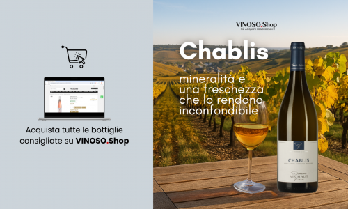 Chablis vino caratteristiche: eleganza minerale dalla Borgogna 