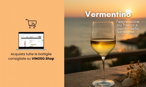 Vermentino vino bianco: l’anima della Sardegna nel calice 