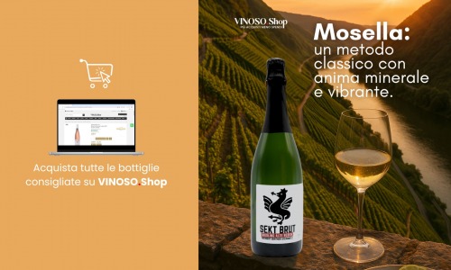 Riesling della Mosella: guida completa al vino simbolo della valle tedesca