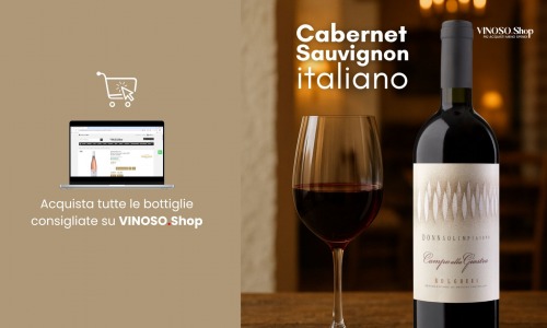 Cabernet Sauvignon italiano: origini, diffusione e peculiarità 