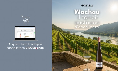 Wachau vino bianco austriaco: eleganza e mineralità dalla Valle del Danubio 
