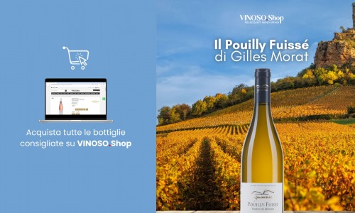 Pouilly Fuissé: Scopri il fascino del Domaine Gilles Morat 