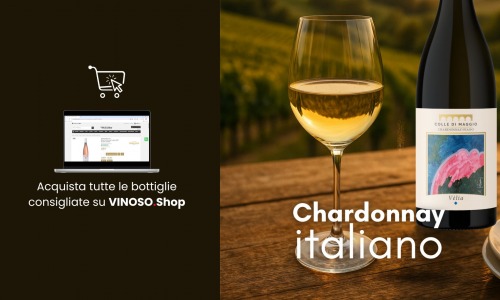 Chardonnay italiano: guida completa per scoprire il bianco più versatile d’Italia