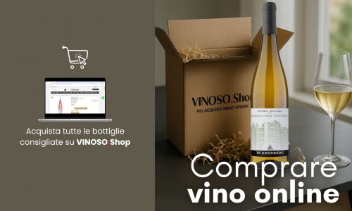 Vino online: guida al Pinot Bianco perfetto per ogni occasione