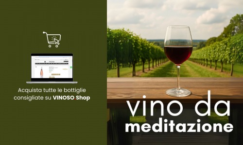 Vino da meditazione: quando il calice diventa esperienza 