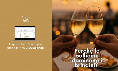 Vini per brindisi: guida completa alle etichette perfette per ogni occasione speciale 