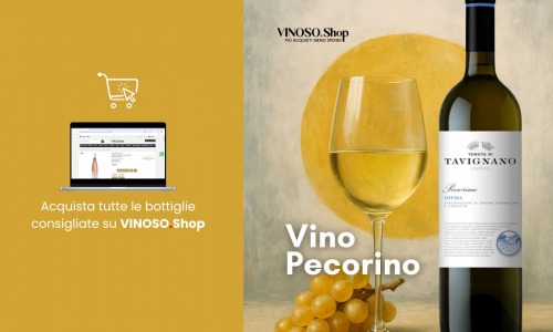 Pecorino Wine: a Complete Guide to Buying Pecorino Online