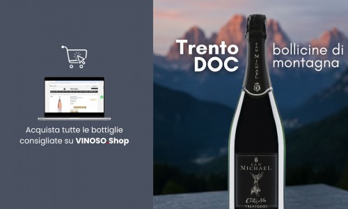 Vini trentini: guida completa ai sapori del Trentino