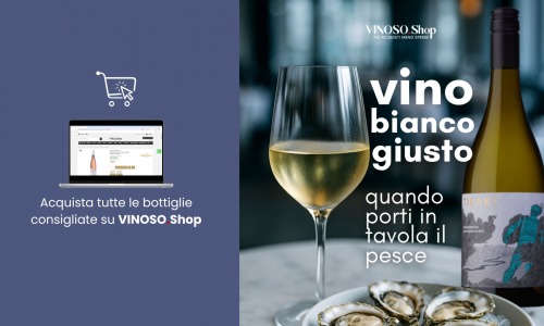 Vino bianco per pesce: guida completa all’acquisto su VINOSO.Shop
