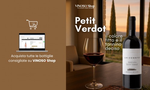 Petit Verdot – Complete Guide to the Grape and the Best Wines