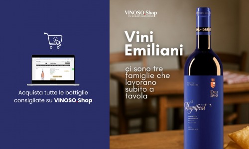 Vini emiliani – guida completa ai sapori dell’Emilia Romagna