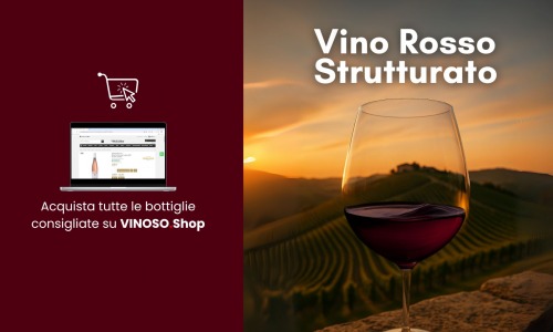 Structured Red Wine – The Complete Guide to Barbera