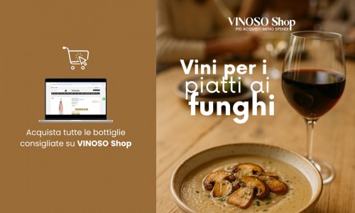 Abbinamento funghi vino – Vini per i piatti ai funghi