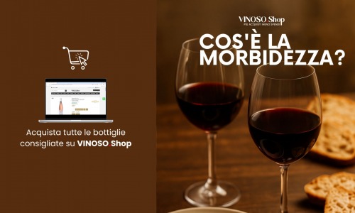 Vino rosso morbido – I migliori vini rossi morbidi per le serate d’autunno